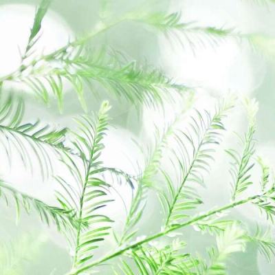 微型坦克射击手机版下载